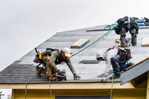 Professional Gutter Installation technician working in Lynwood, IL